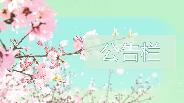 网站界面修复完成